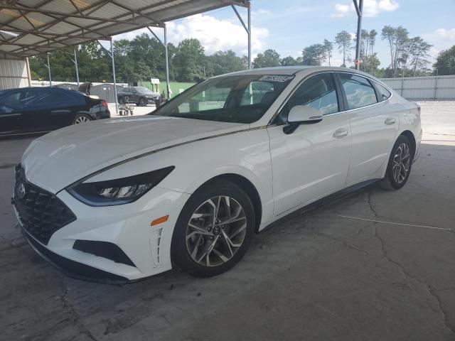 hyundai sonata sel 2023 kmhl64ja0pa288791