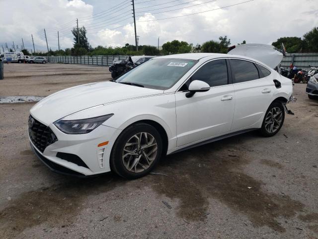 hyundai sonata sel 2021 kmhl64ja1ma150091