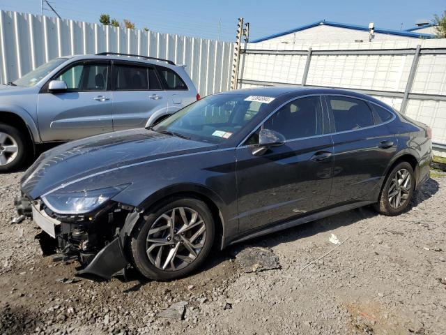 hyundai sonata sel 2022 kmhl64ja2na241694