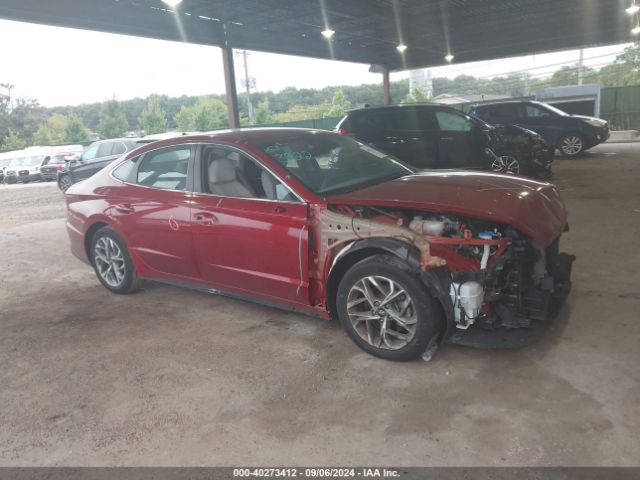 hyundai sonata 2023 kmhl64ja3pa281883