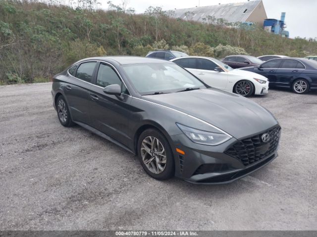 hyundai sonata 2023 kmhl64ja4pa264283