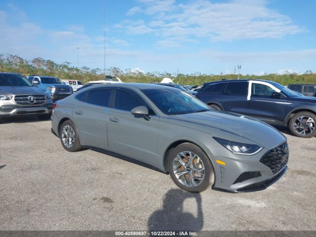 hyundai sonata 2023 kmhl64ja5pa251171