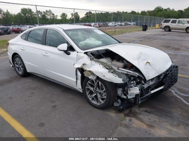 hyundai sonata 2023 kmhl64ja5pa340514