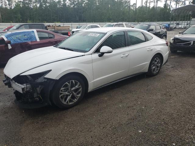 hyundai sonata 2023 kmhl64ja6pa311121