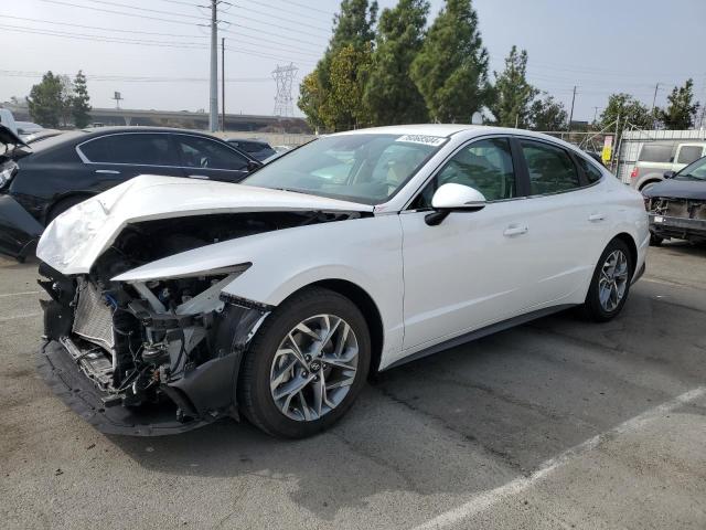 hyundai sonata sel 2023 kmhl64ja6pa311877