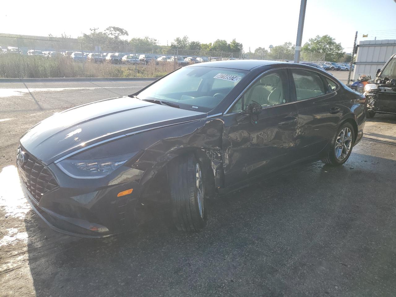 hyundai sonata 2023 kmhl64ja6pa314620