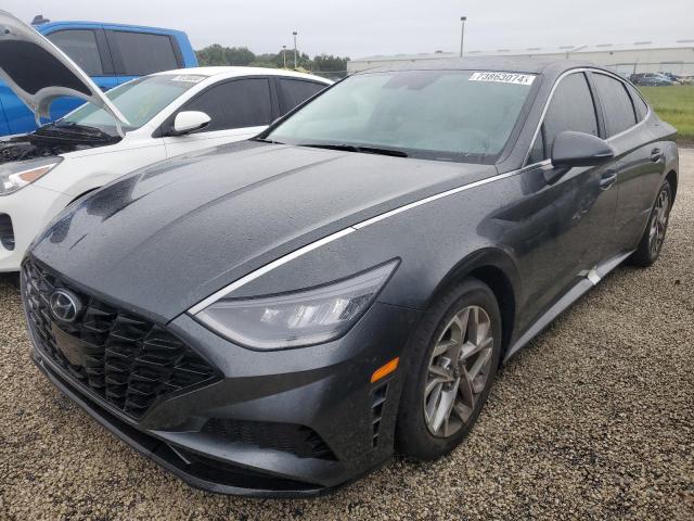 hyundai sonata sel 2021 kmhl64ja7ma164044