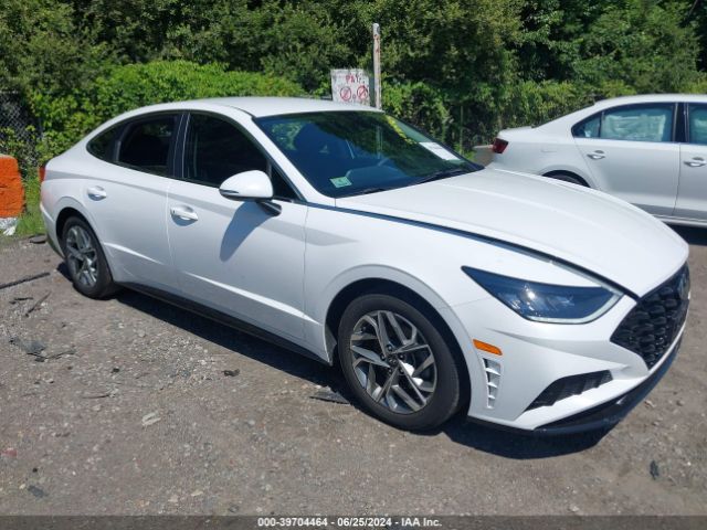 hyundai sonata 2023 kmhl64ja7pa270983