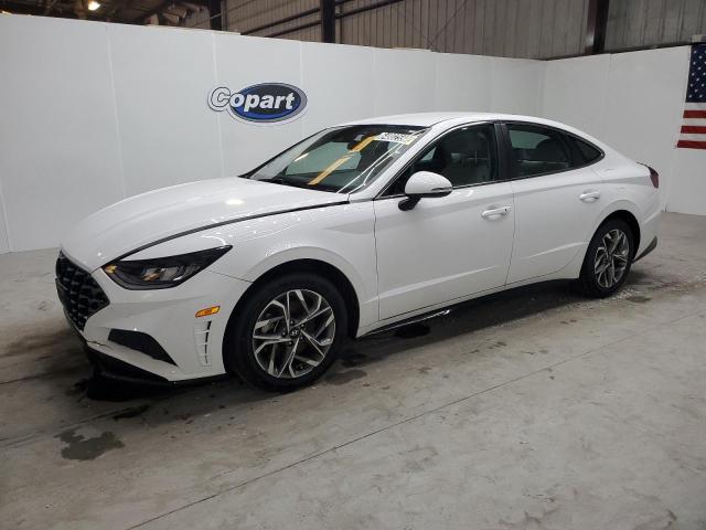 hyundai sonata 2023 kmhl64ja7pa281269