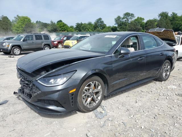 hyundai sonata sel 2021 kmhl64ja8ma152520