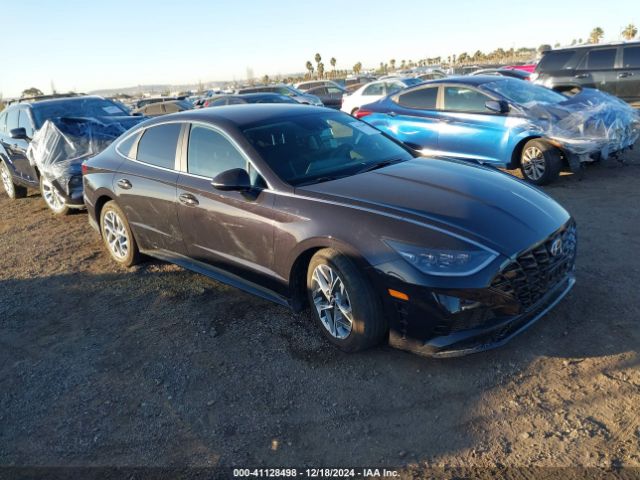 hyundai sonata 2023 kmhl64ja8pa344427