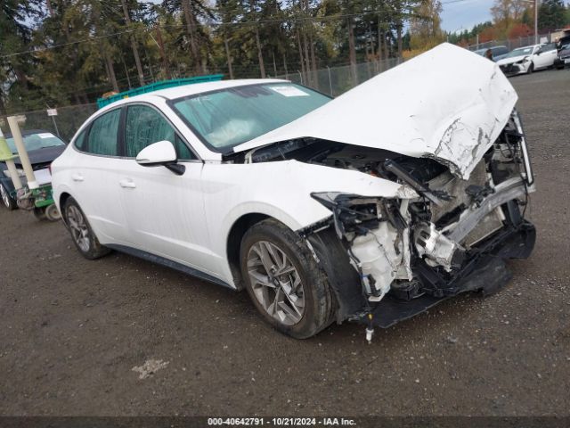 hyundai sonata 2021 kmhl64ja9ma159332