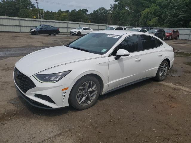 hyundai sonata sel 2023 kmhl64jaxpa253160