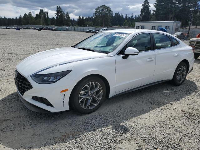 hyundai sonata sel 2023 kmhl64jaxpa278270