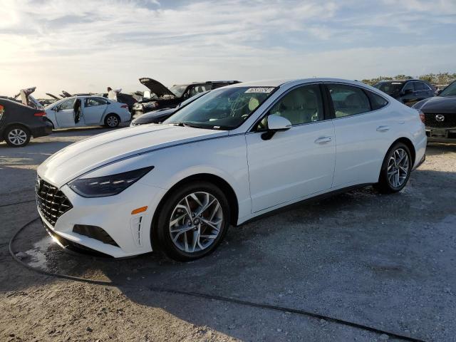 hyundai sonata sel 2023 kmhl64jaxpa314104