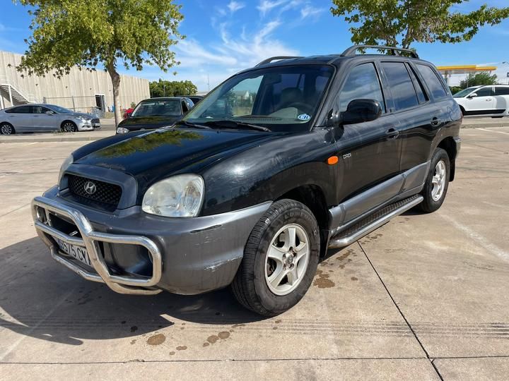 hyundai santa fe 2004 kmhsc81vp4u813991