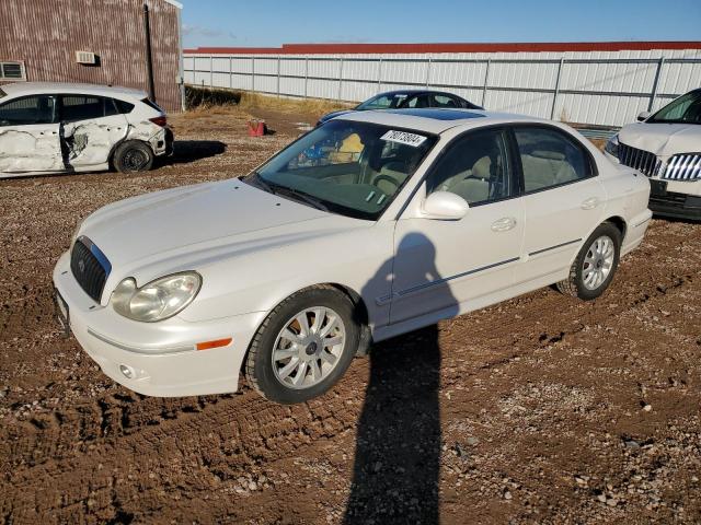 hyundai sonata gls 2004 kmhwf35h34a983566