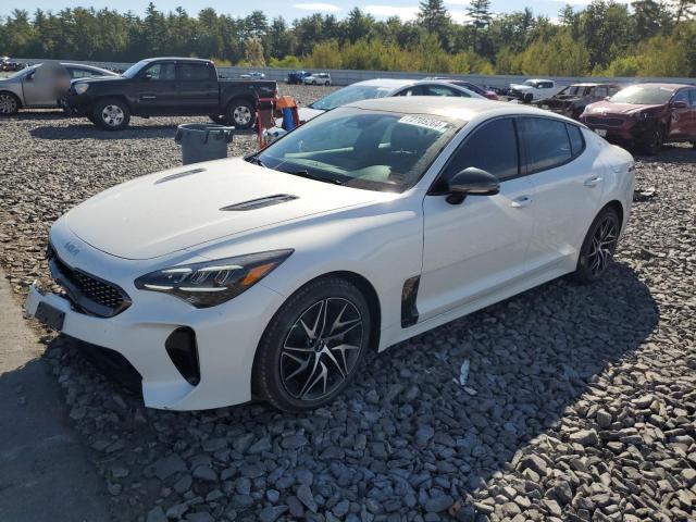 kia stinger gt 2022 knae35ld0n6110363