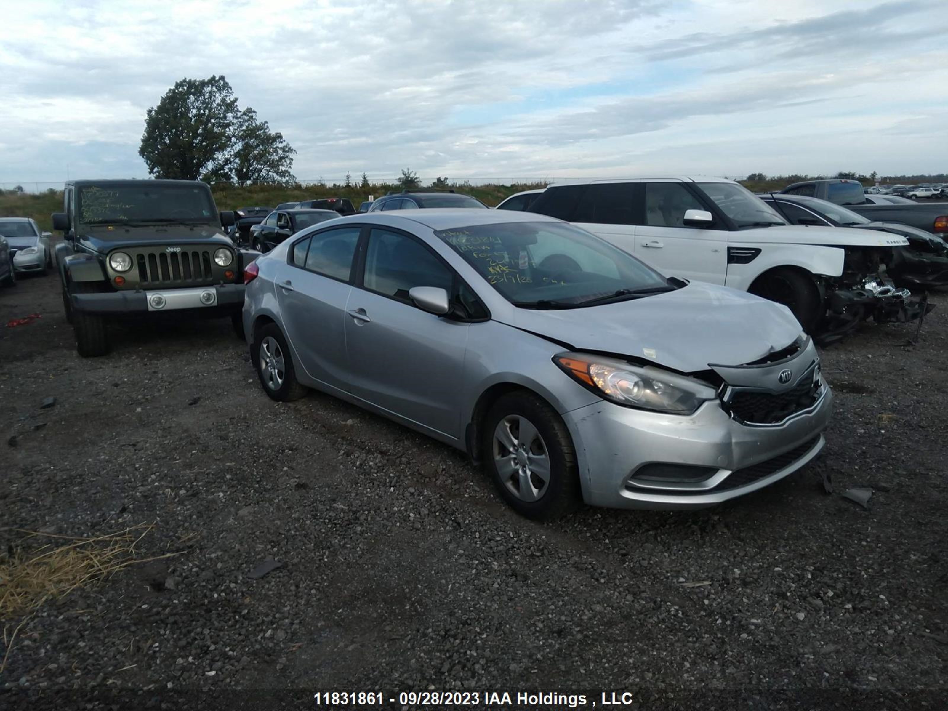 kia forte 2014 knafk4a63e5247955