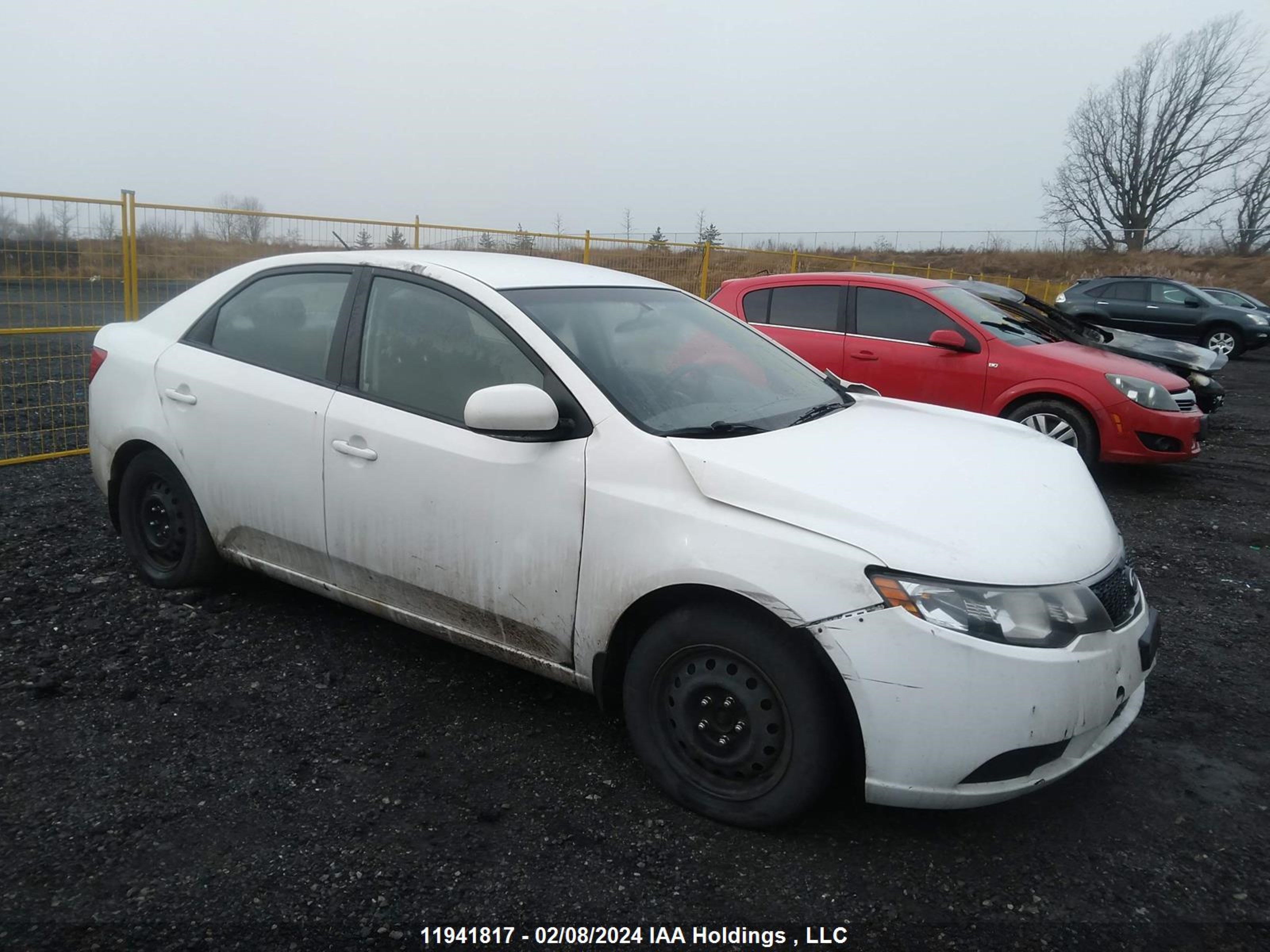 kia forte 2011 knaft4a22b5350810