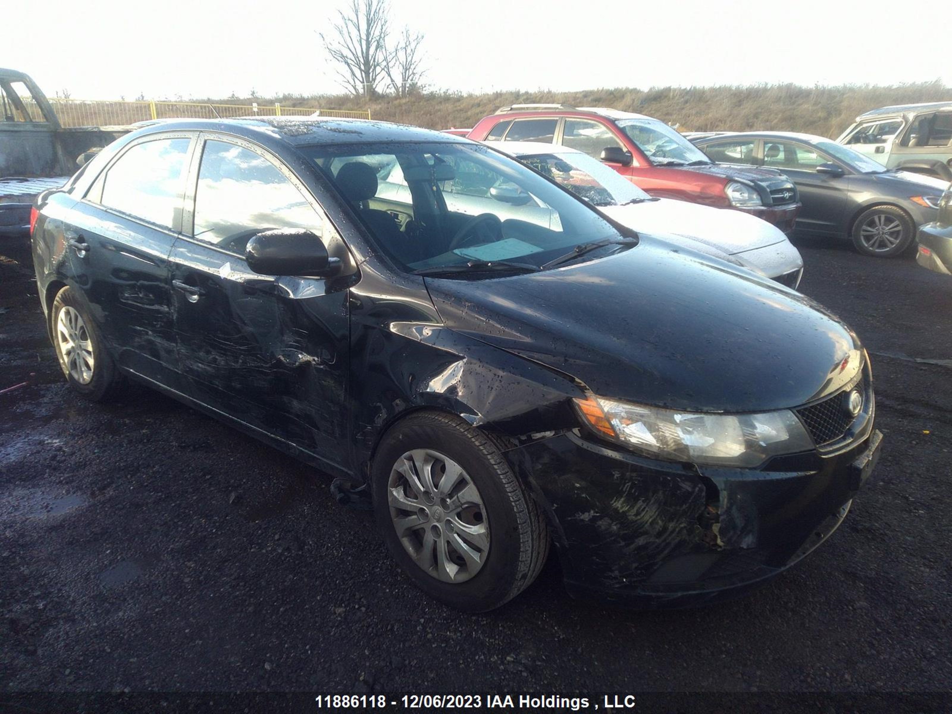 kia forte 2010 knaft4a26a5139804