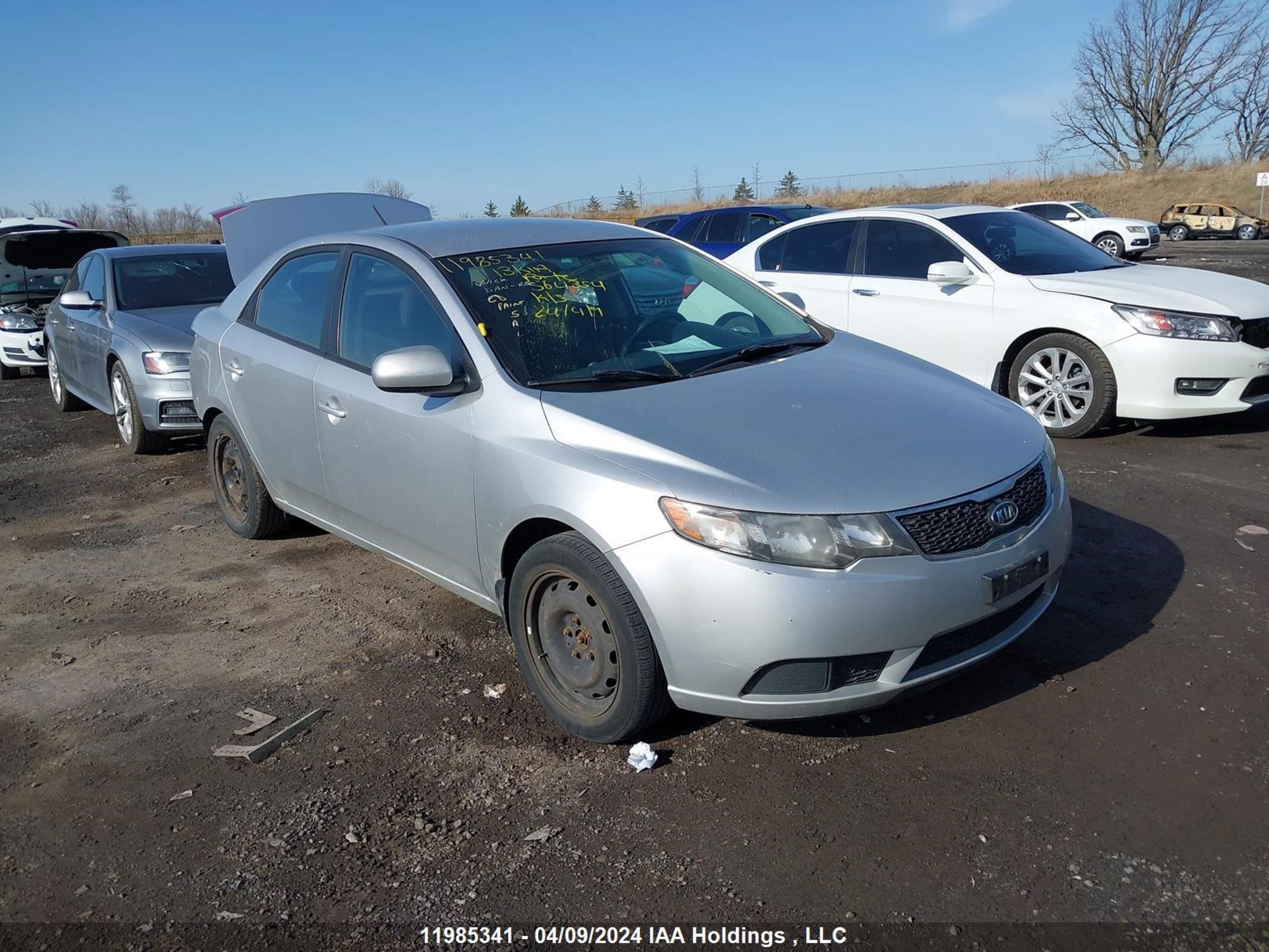 kia forte 2013 knaft4a2xd5646354