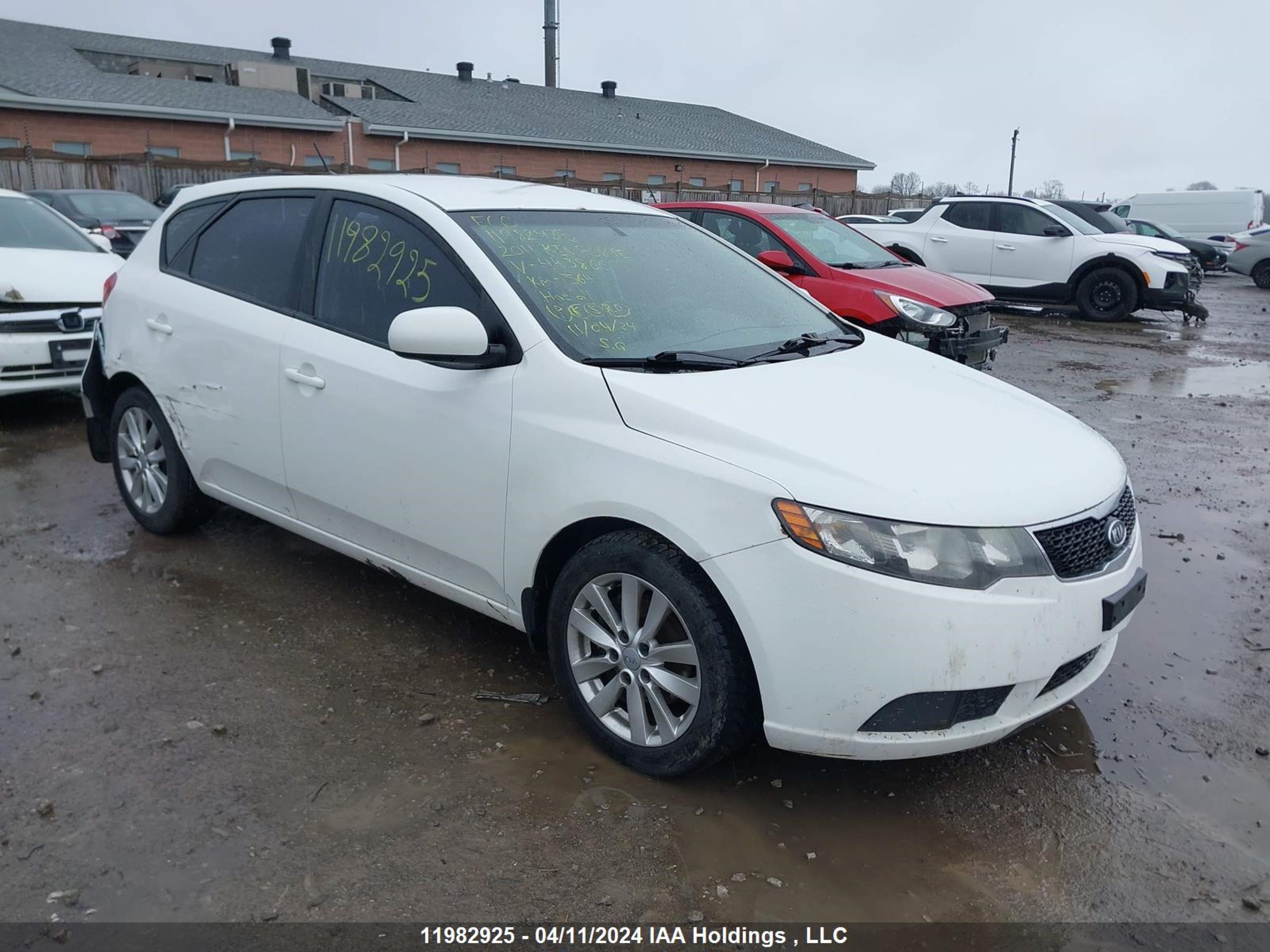 kia forte 2011 knaft5a24b5443866