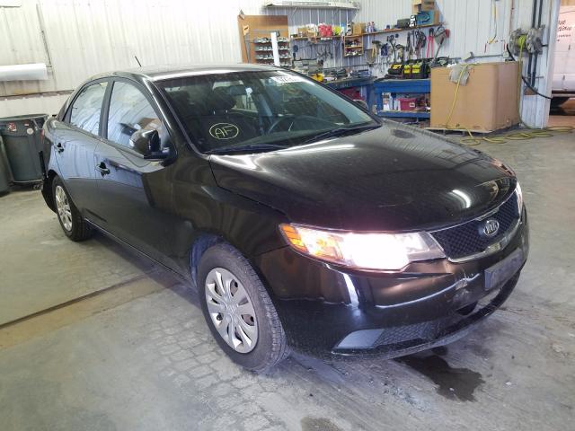 kia forte ex 2010 knafu4a21a5062269