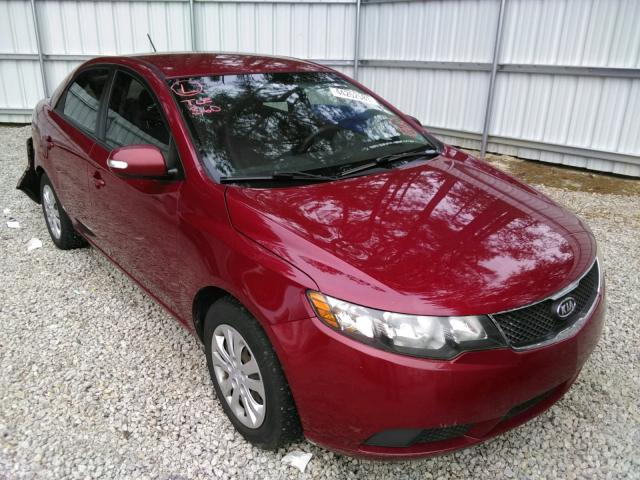 kia forte 2010 knafu4a22a5219145