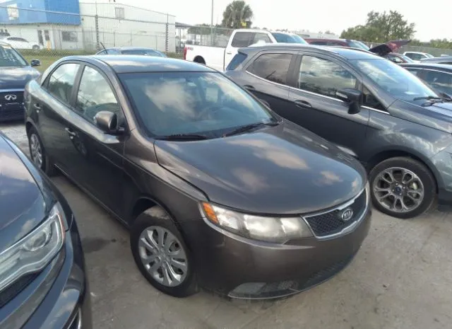 kia forte 2010 knafu4a22a5844614