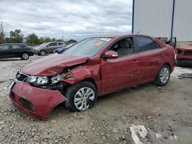 kia forte ex 2010 knafu4a25a5234187