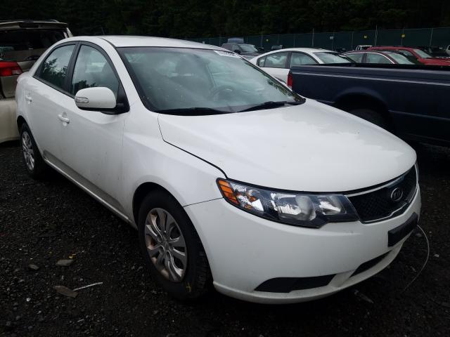 kia forte ex 2010 knafu4a25a5262278