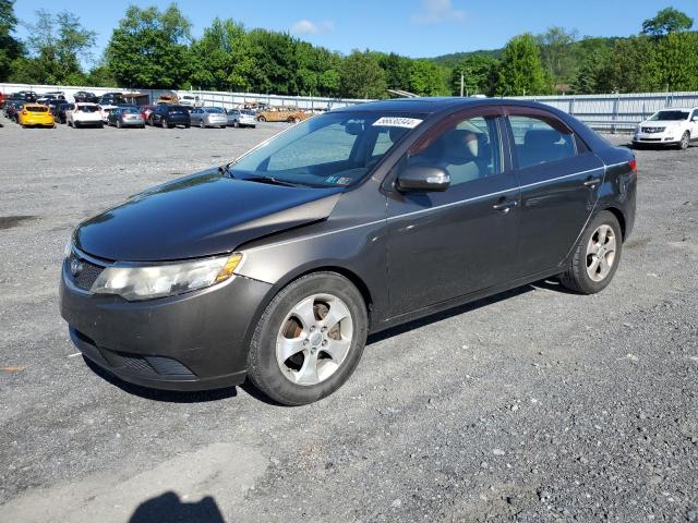 kia forte 2010 knafu4a27a5299249