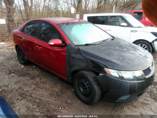 kia forte 2010 knafu4a28a5111113