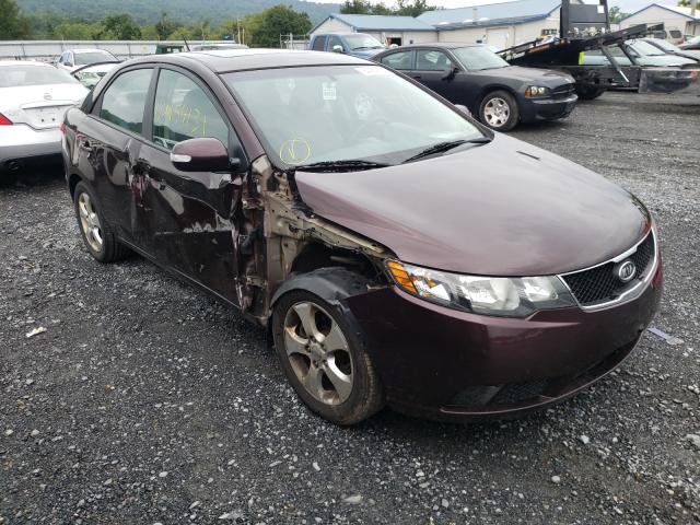 kia forte ex 2010 knafu4a29a5293548