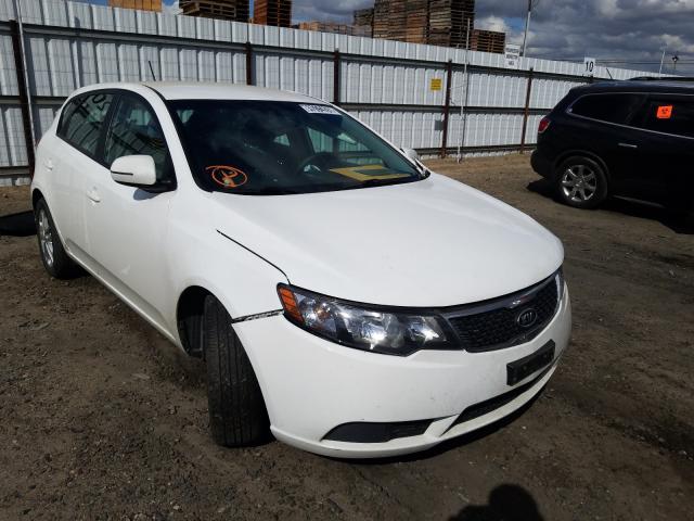 kia forte ex 2011 knafu5a2xb5437373