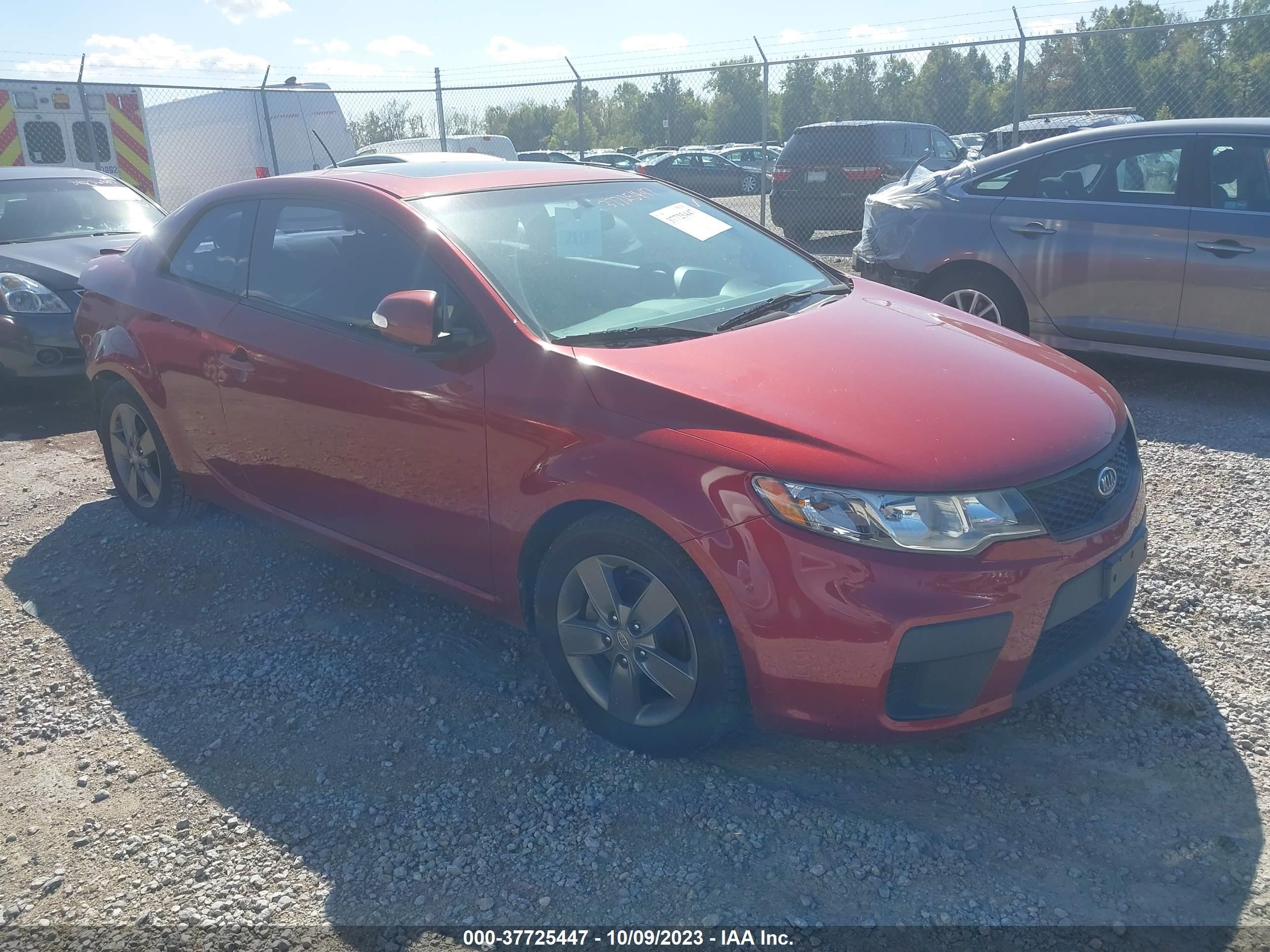 kia forte 2010 knafu6a27a5302632