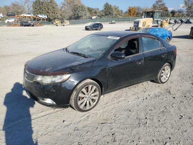 kia forte sx 2013 knafw4a36d5666746