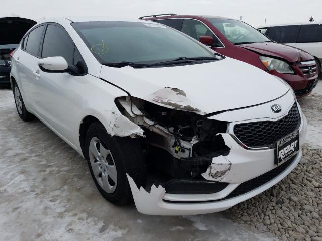 kia forte lx 2015 knafx4a62f5369483