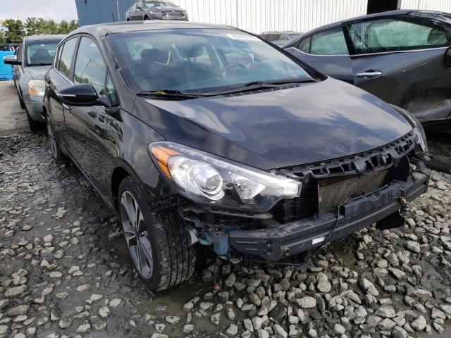 kia  2016 knafx5a85g5629321