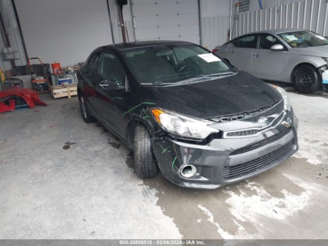 kia forte koup 2014 knafx6a83e5230359