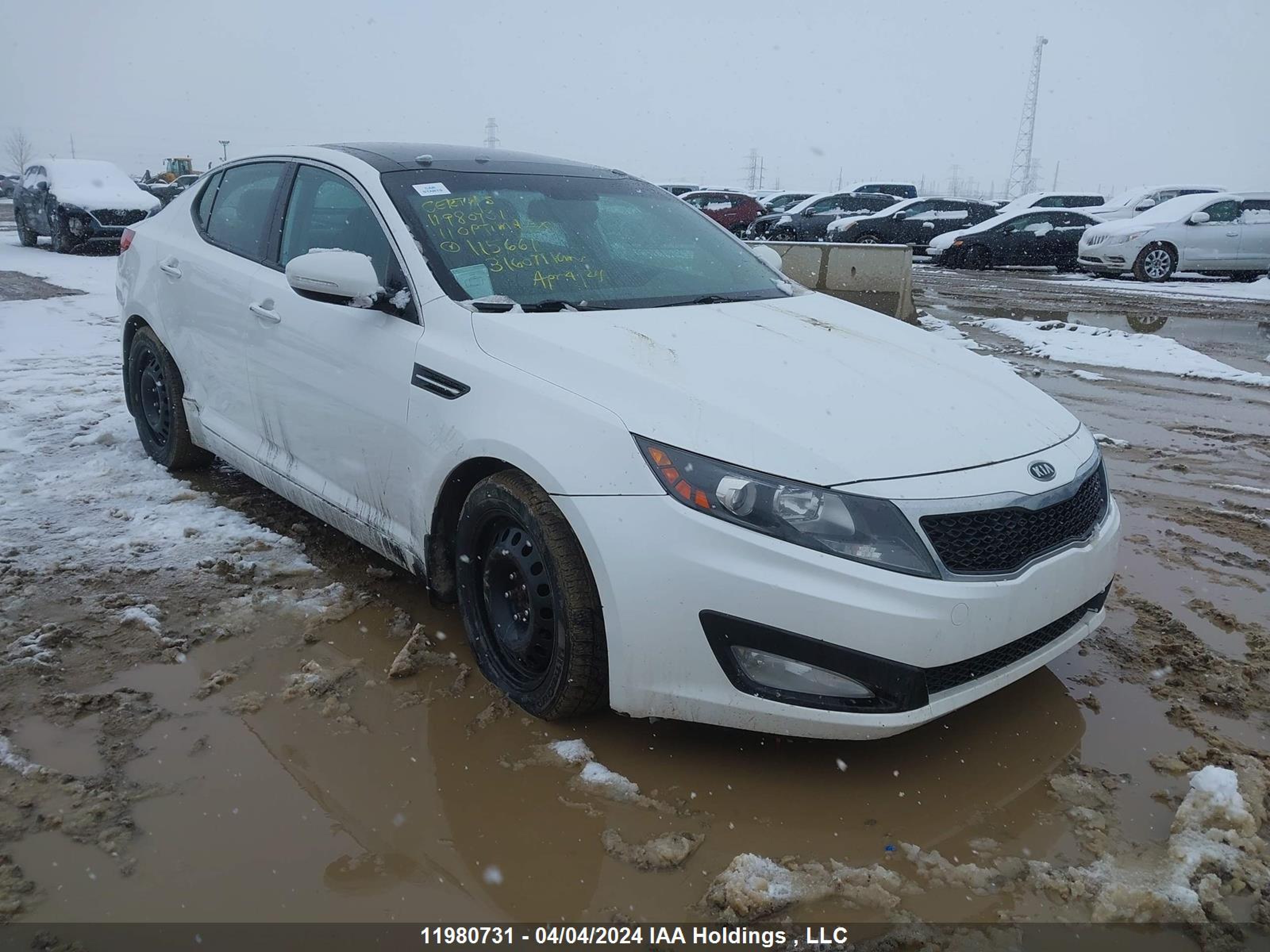 kia optima 2011 knagn4a76b5115661