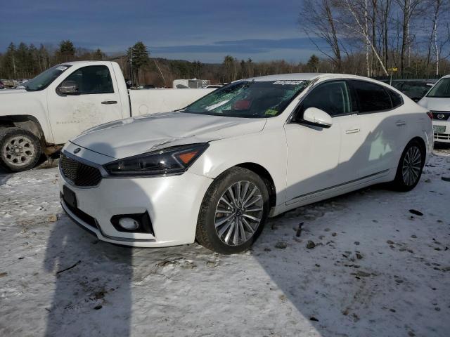 kia cadenza 2019 knalb4j10k5167581