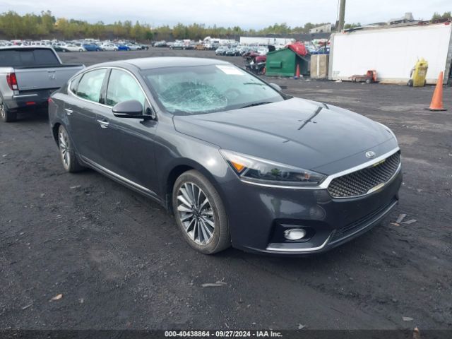 kia cadenza 2019 knalb4j17k5164886