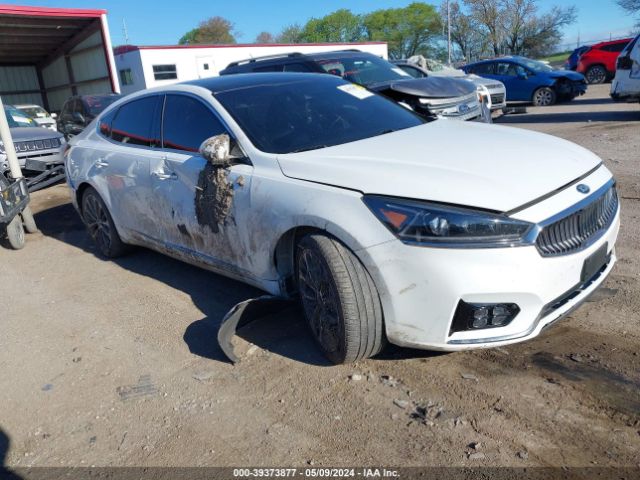 kia cadenza 2019 knalc4j10k5164774