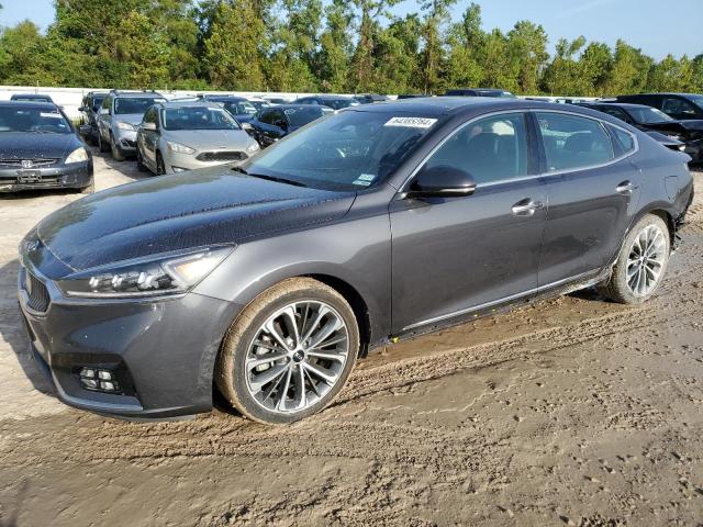 kia cadenza lu 2019 knalc4j13k5173310