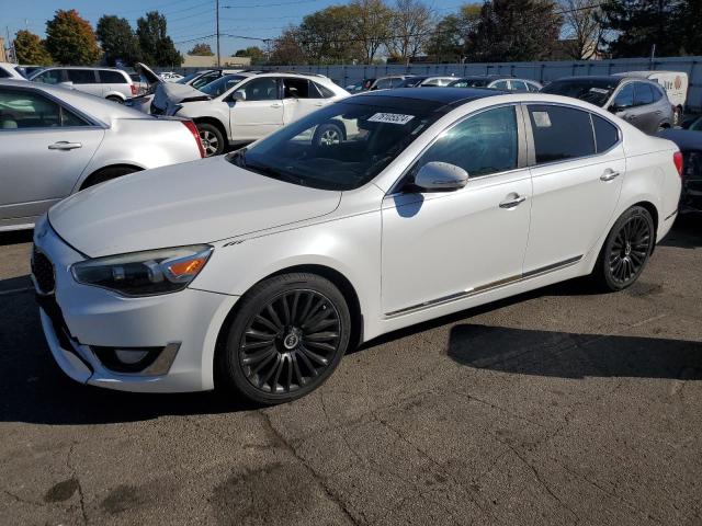 kia cadenza pr 2014 knaln4d73e5137714