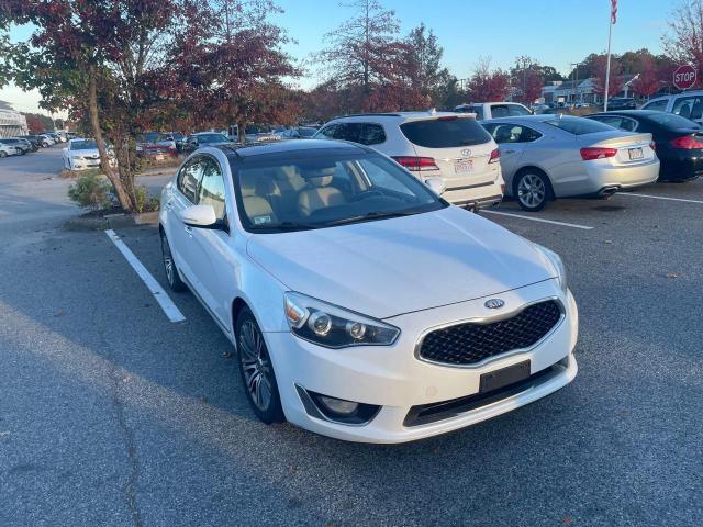 kia cadenza 2014 knaln4d74e5125328