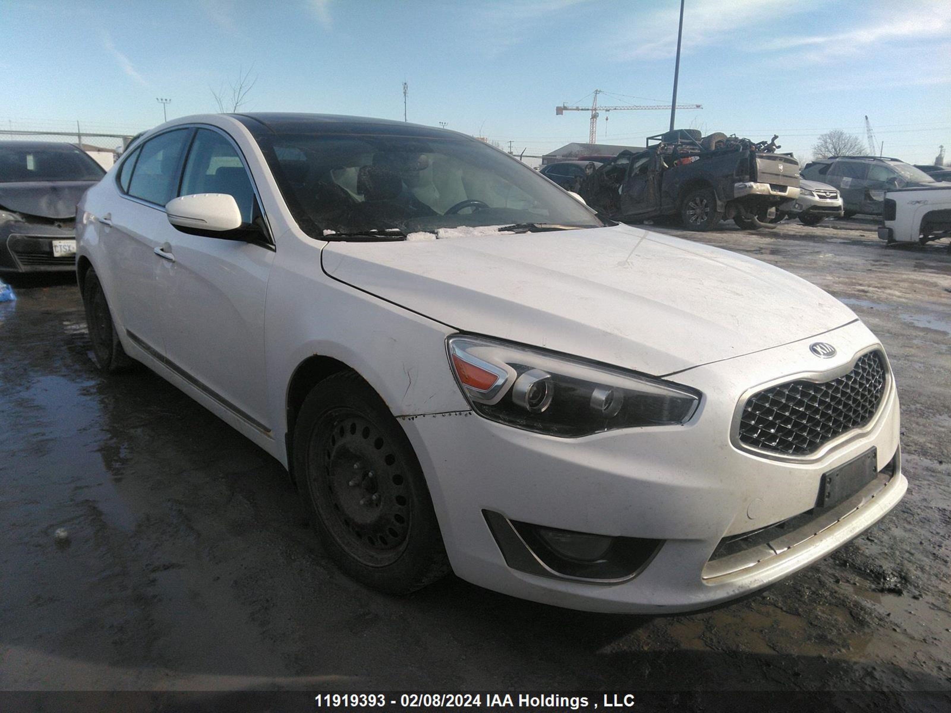 kia cadenza 2016 knaln4d76g5199806