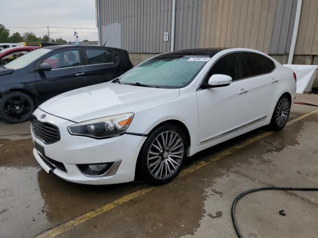 kia cadenza pr 2014 knaln4d78e5134677